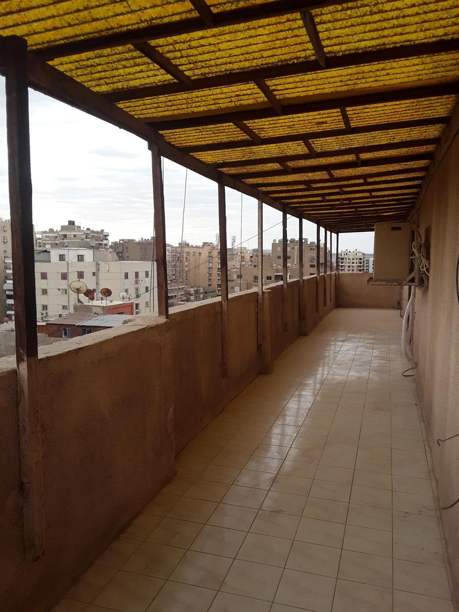 شقه مفروشه تطل على الحديقة الدولية Apartment